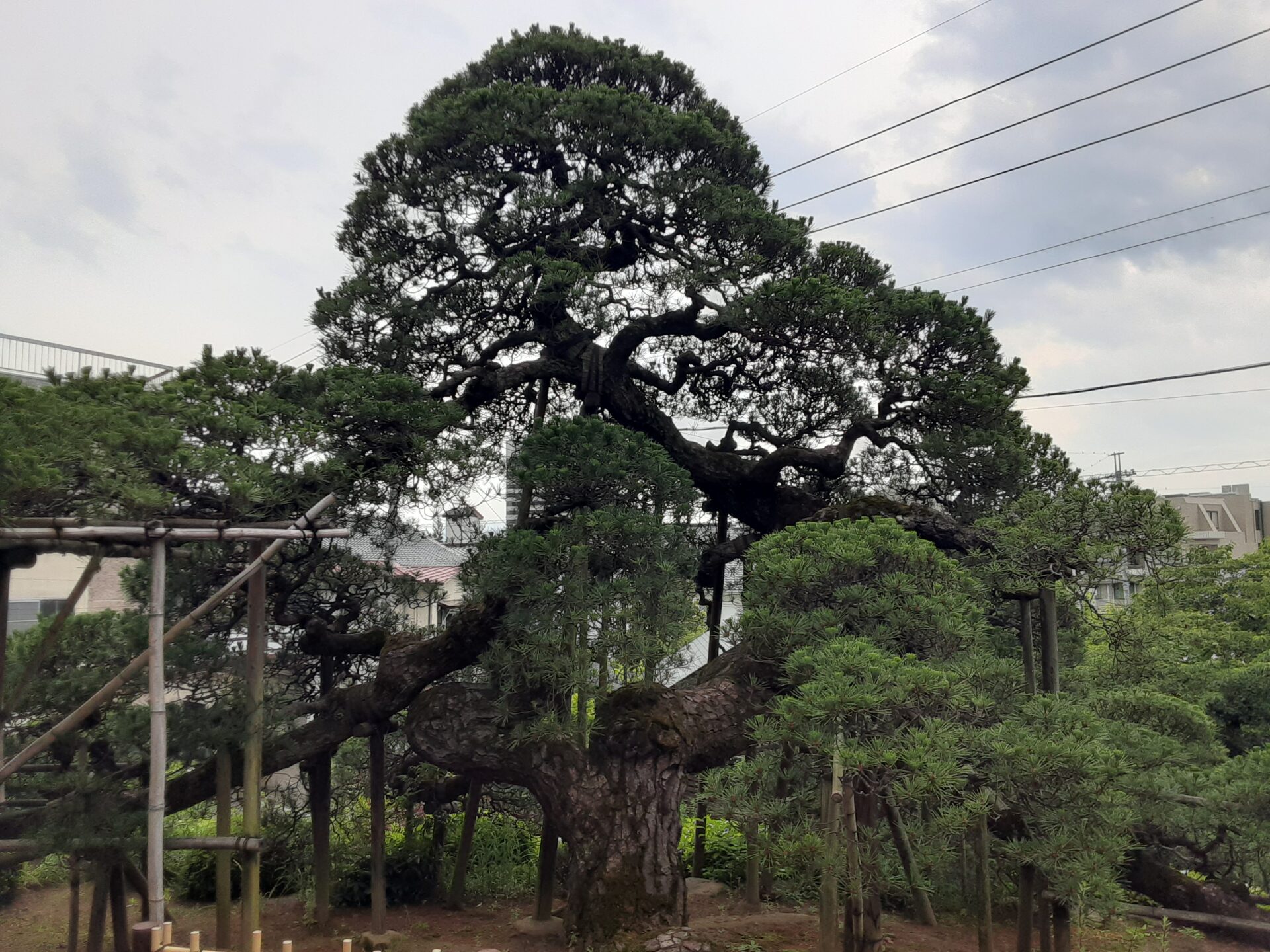 福田山　塩澤寺