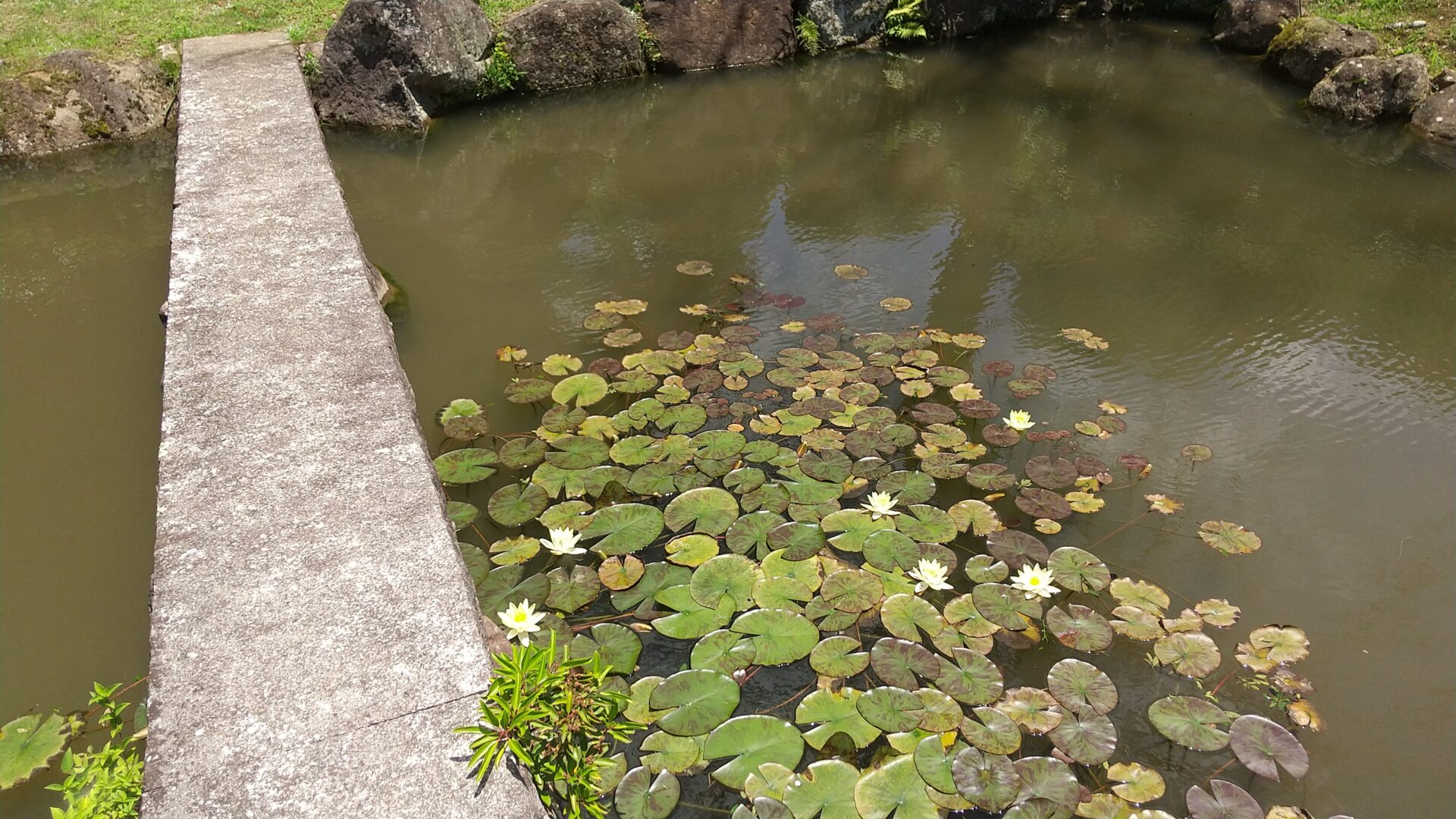 常牧山　浄居寺