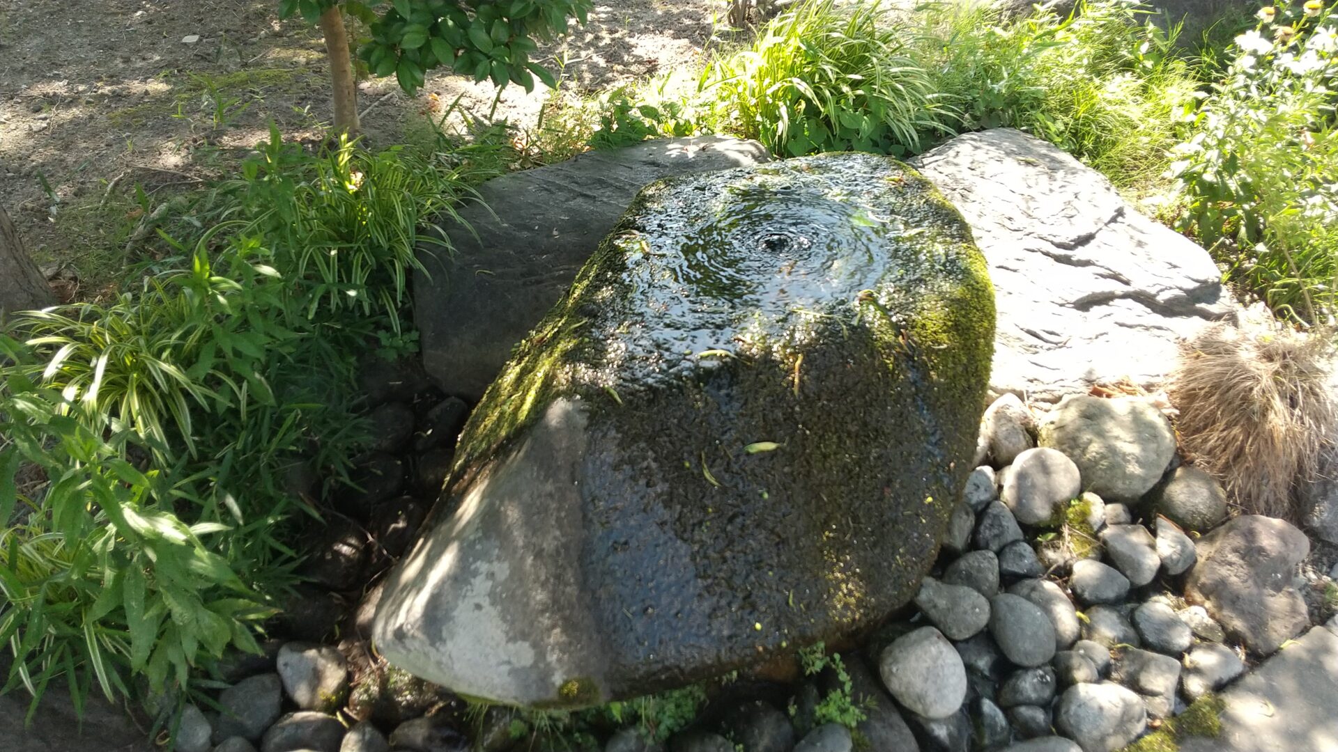 鎌田山　本誓寺